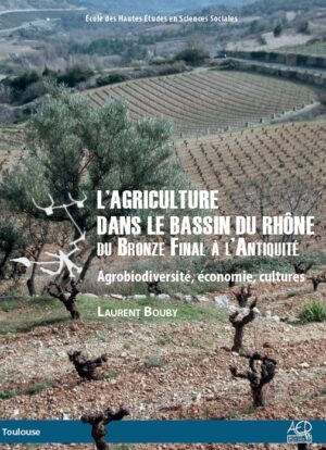 L'agriculture dans le bassin du Rhône du Bronze final à l'Antiquité